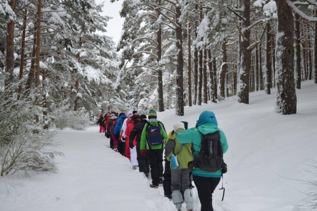  Snowshoe route 